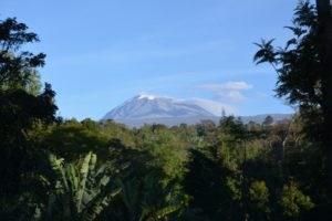 kilimanjaro-1