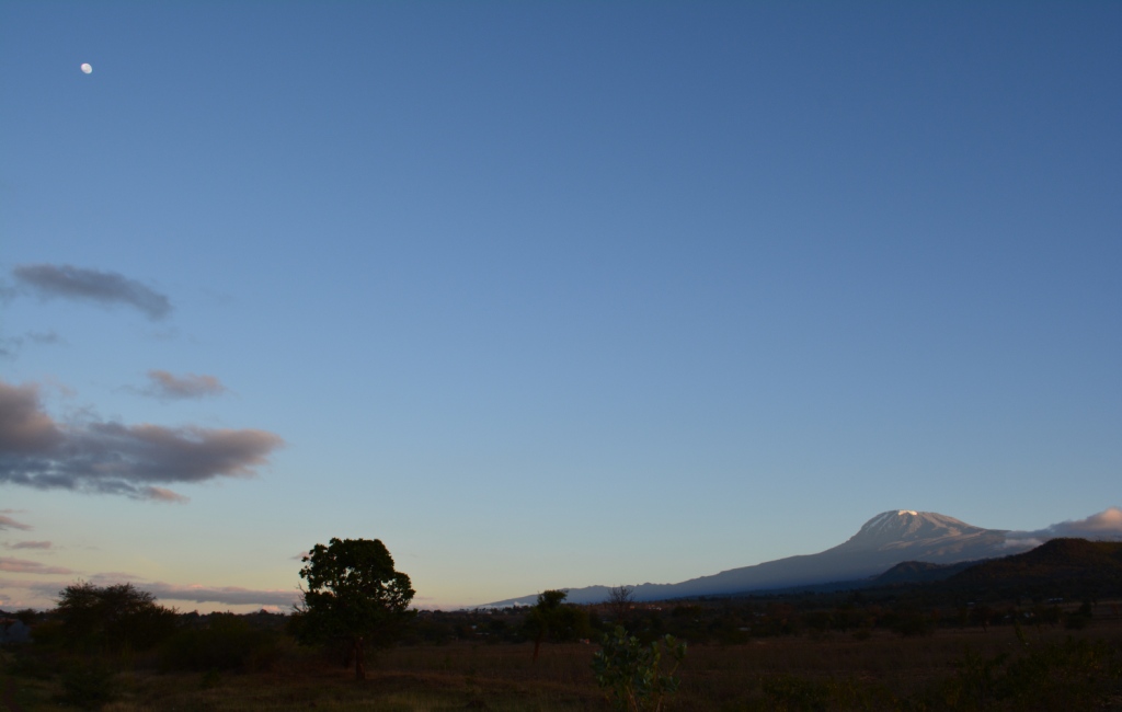 kilimanjaro-2